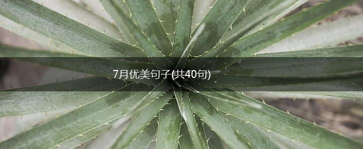 7月优美句子(共40句),第1张