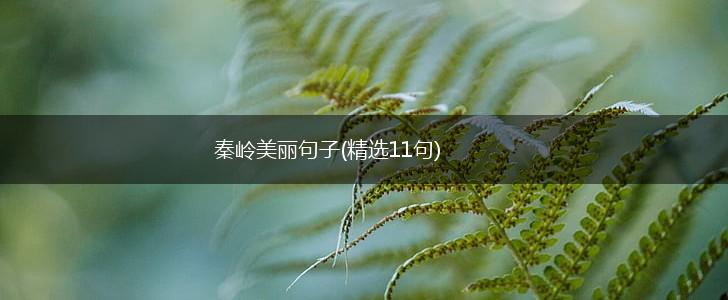 秦岭美丽句子(精选11句),第1张