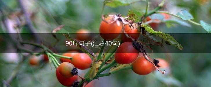 90斤句子(汇总40句),第1张