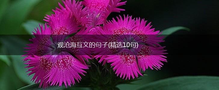 观沧海互文的句子(精选10句),第1张