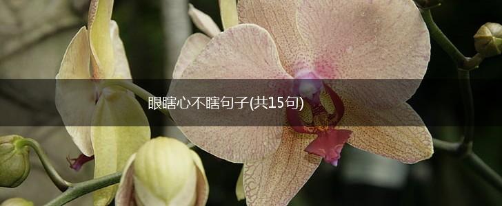 眼瞎心不瞎句子(共15句),第1张