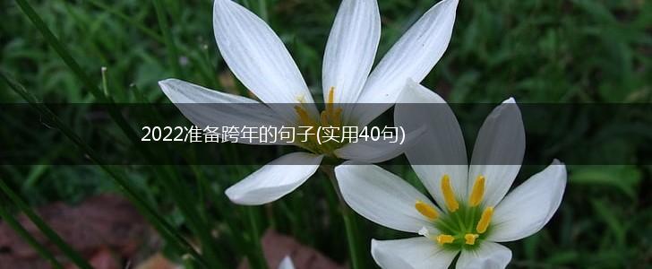 2022准备跨年的句子(实用40句),第1张