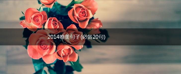 2014唯美句子(必备20句),第1张