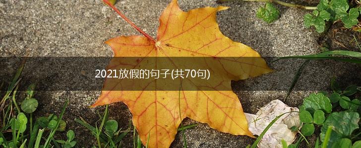 2021放假的句子(共70句),第1张