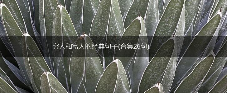 穷人和富人的经典句子(合集26句),第1张