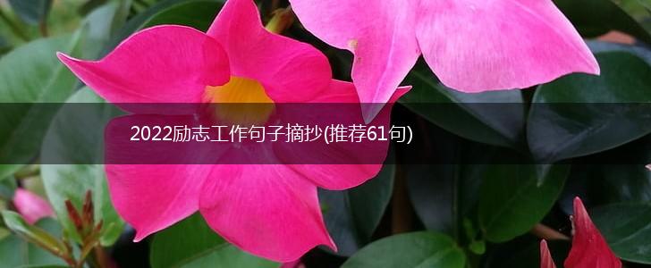 2022励志工作句子摘抄(推荐61句),第1张