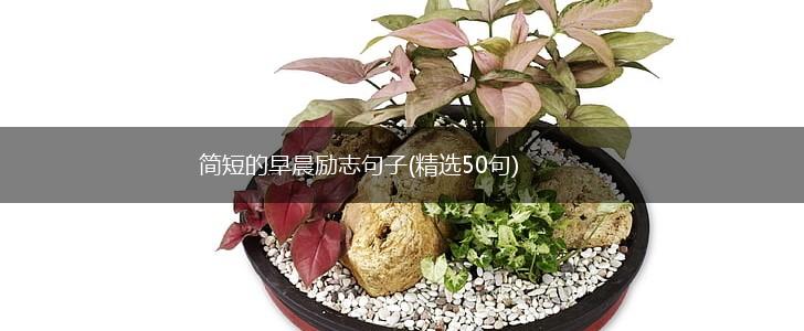简短的早晨励志句子(精选50句),第1张