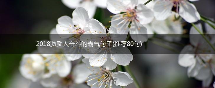 2018激励人奋斗的霸气句子(推荐80句),第1张