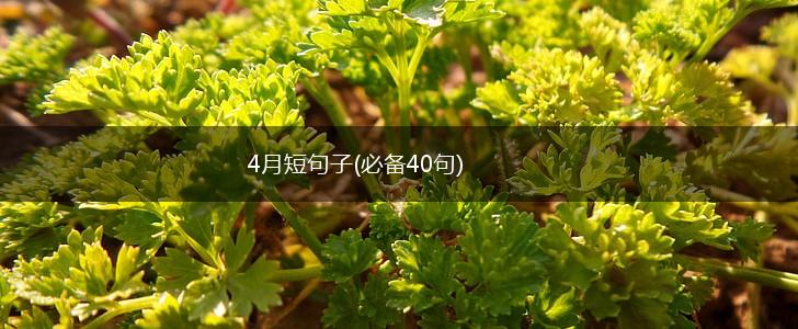 4月短句子(必备40句),第1张