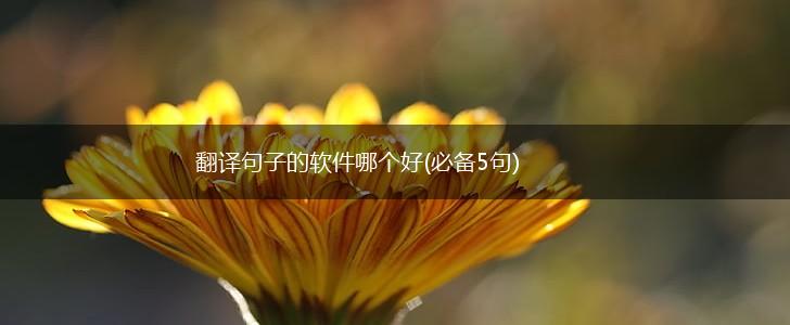 翻译句子的软件哪个好(必备5句),第1张
