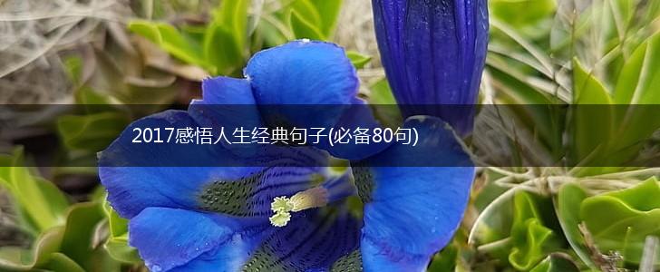 2017感悟人生经典句子(必备80句),第1张