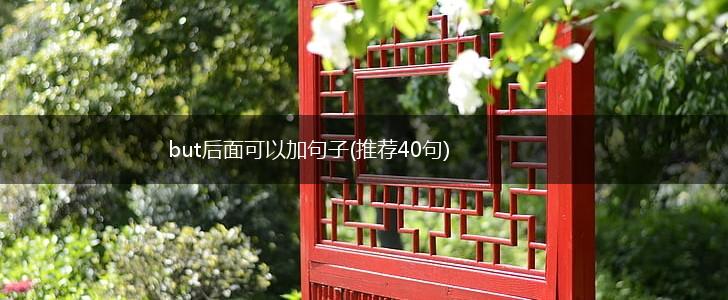 but后面可以加句子(推荐40句),第1张