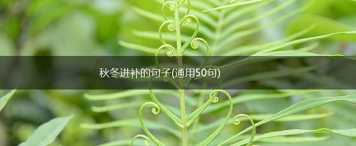 秋冬进补的句子(通用50句),第1张