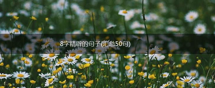 8字精辟的句子(汇总50句),第1张