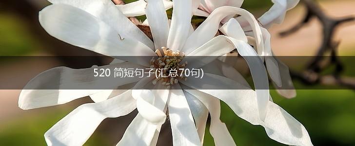 520 简短句子(汇总70句),第1张