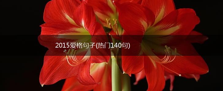 2015爱格句子(热门140句),第1张