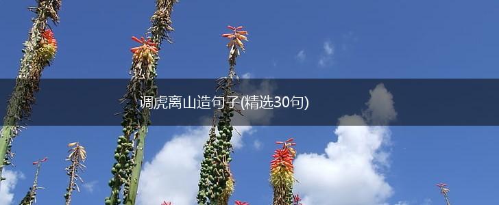 调虎离山造句子(精选30句),第1张