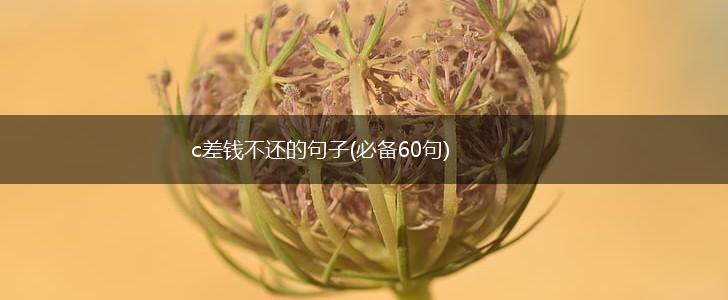 c差钱不还的句子(必备60句),第1张