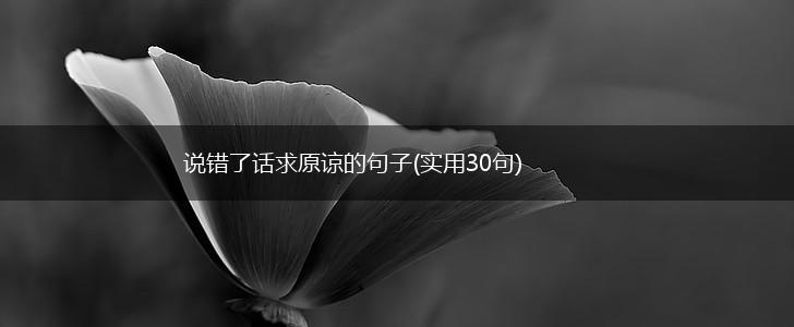 说错了话求原谅的句子(实用30句),第1张