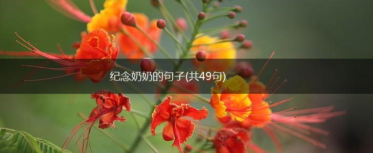 纪念奶奶的句子(共49句),第1张