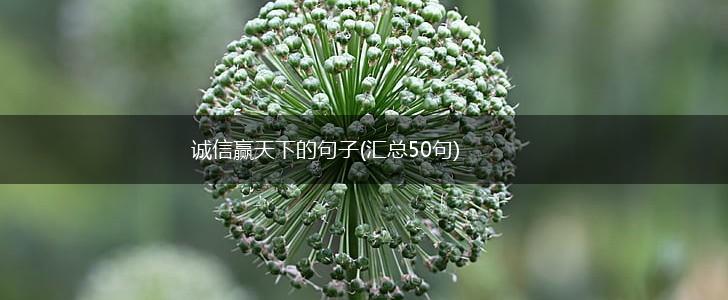 诚信赢天下的句子(汇总50句),第1张