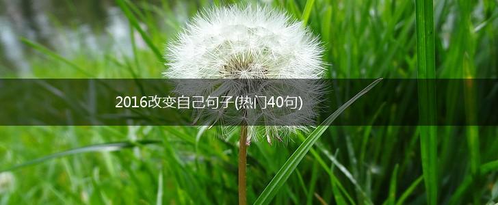 2016改变自己句子(热门40句),第1张