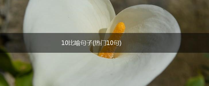 10比喻句子(热门10句),第1张