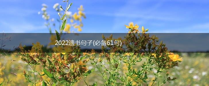 2022遗书句子(必备61句),第1张