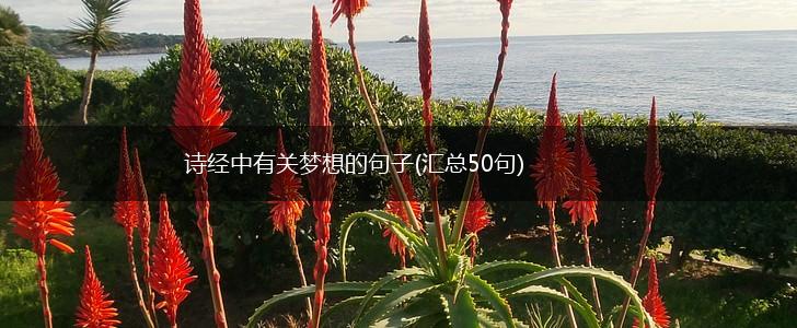 诗经中有关梦想的句子(汇总50句),第1张