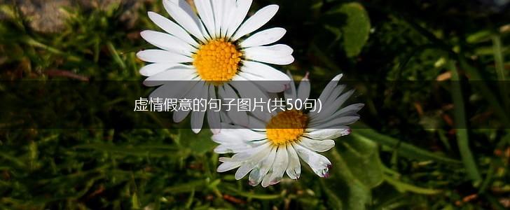 虚情假意的句子图片(共50句),第1张