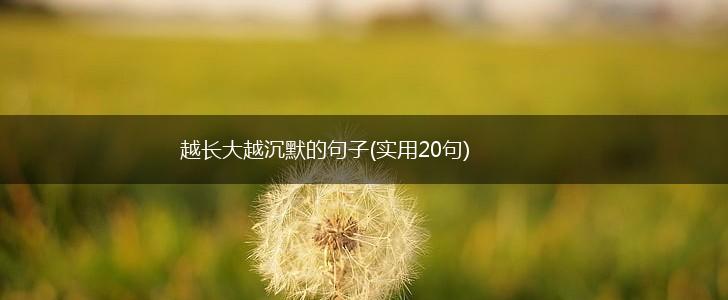 越长大越沉默的句子(实用20句),第1张
