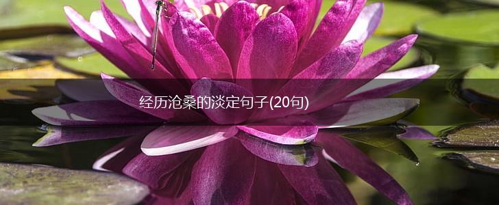 经历沧桑的淡定句子(20句),第1张