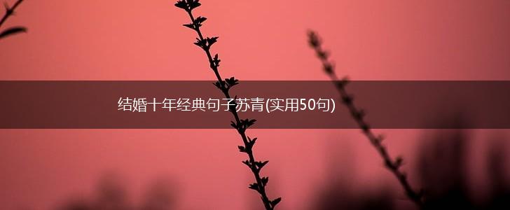 结婚十年经典句子苏青(实用50句),第1张