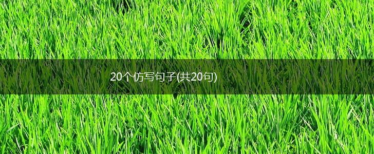 20个仿写句子(共20句),第1张