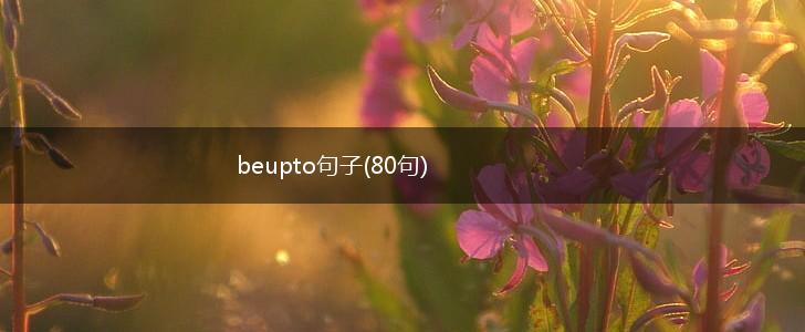 beupto句子(80句),第1张