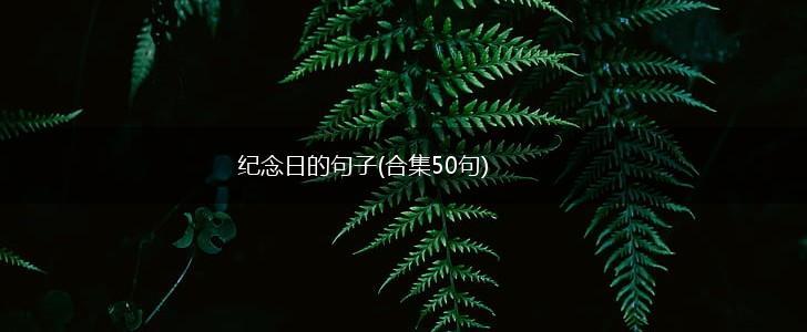 纪念日的句子(合集50句),第1张