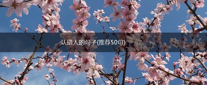 认错人的句子(推荐50句),第1张