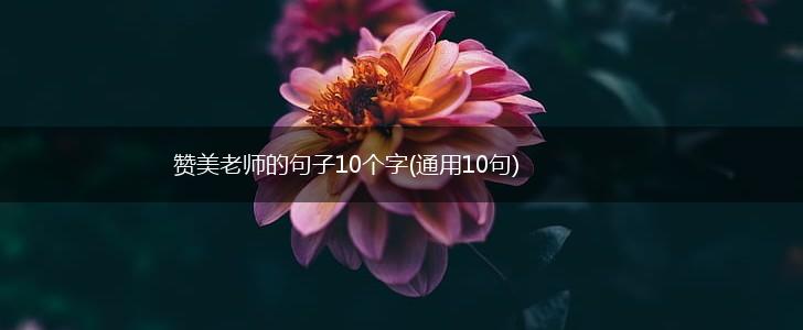 赞美老师的句子10个字(通用10句),第1张