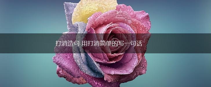打消造句 用打消简单的写一句话,第1张