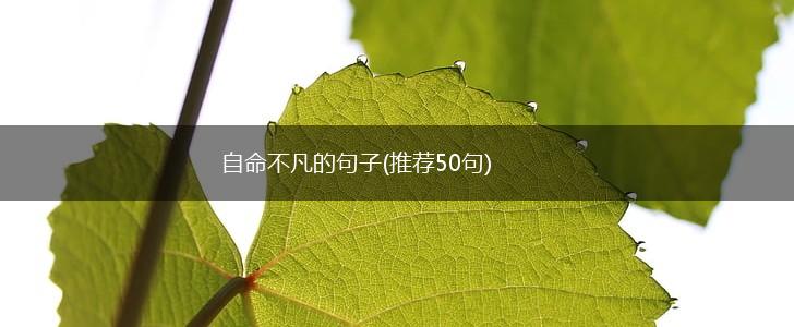 自命不凡的句子(推荐50句),第1张