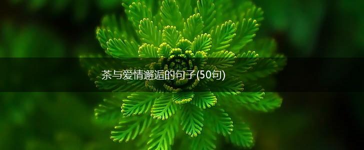 茶与爱情邂逅的句子(50句),第1张
