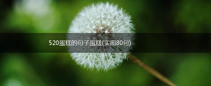 520蛋糕的句子蛋糕(实用80句),第1张