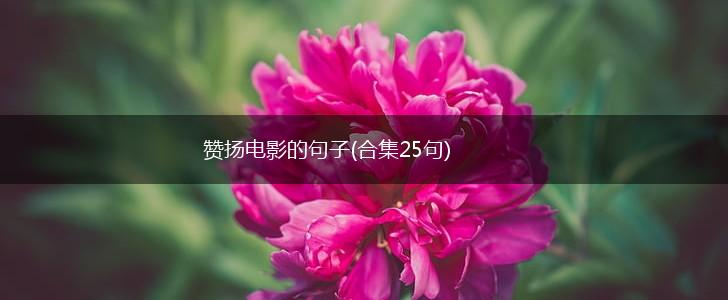 赞扬电影的句子(合集25句),第1张