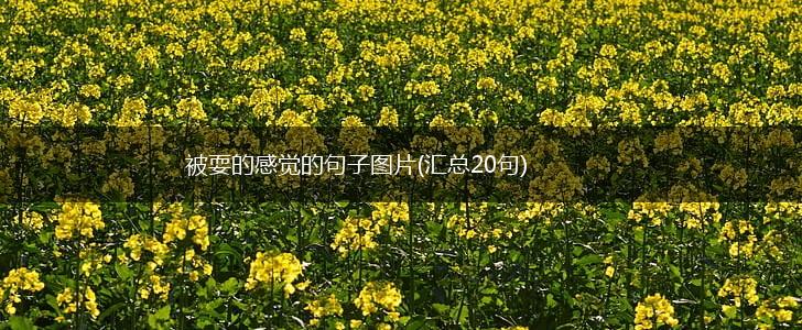 被耍的感觉的句子图片(汇总20句),第1张