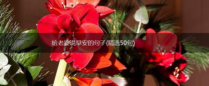 给老婆说早安的句子(精选50句),第1张