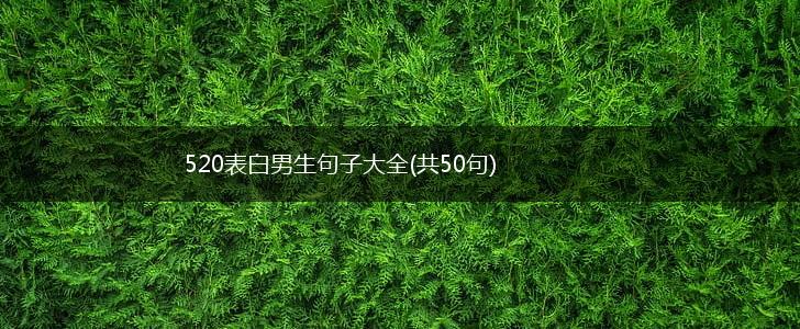520表白男生句子大全(共50句),第1张