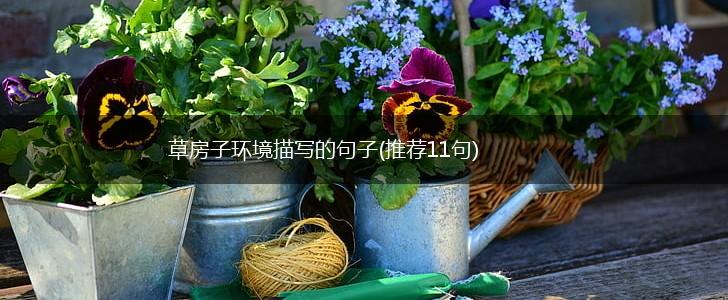 草房子环境描写的句子(推荐11句),第1张