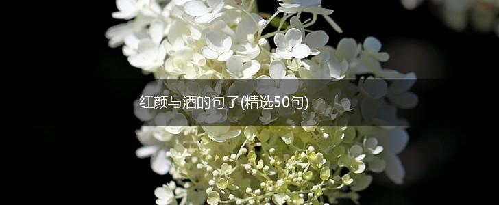 红颜与酒的句子(精选50句),第1张