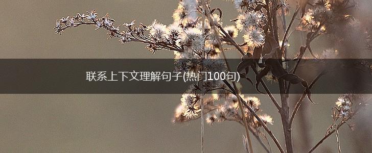 联系上下文理解句子(热门100句),第1张