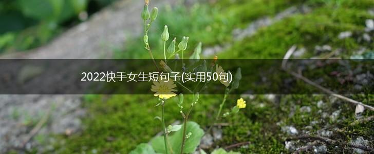 2022快手女生短句子(实用50句),第1张